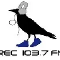 RADIO REC - FM 103.7